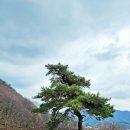 운장산 넘는길 이미지