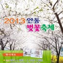 안동여행-안동벚꽃축제 이미지