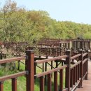 추동 호반길 이미지