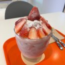 전주소나무뜰펜션 이미지