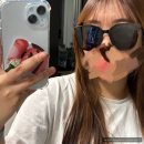 4033 | [리뷰] 리에티 선글라스 내돈내산 후기 (ALI RT 4033 c1)