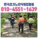 전신 걷기 운동 노르딕 워킹 이미지