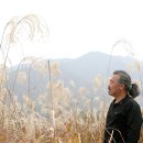계룡산 경관 이미지