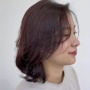 엣이즈(at ease)