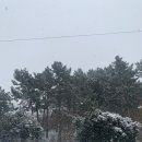 우미매운탕 네이버블로그