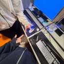 엔시컴 | 아니 다 탈빠했다매 • 드림 팬미팅 선예매 후기 • 시즈니 블로그