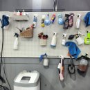 상주손세차 이미지