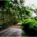 평화마을 이미지