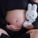 J-051 | 부산만삭사진 애니스튜디오 부산 연제점｜내돈내산 베페 계약으로 직접 경험한 촬영후기와 꿀팁