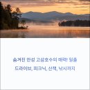 호암리 | 숨겨진 안성 고삼호수의 매력! 일출, 드라이브, 피크닉, 산책, 낚시까지 가족나들이를 위한 힐링 코스...