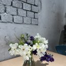 야시골공원 | 범어점.브런치 파스타 샌드위치 데이트 조용한 카페 추천.수성구 대구법원 야시골공원 범어네거리 근처