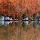 계룡 낚시터 이미지