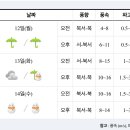 [여객선 운항정보] 2022년 12월12일(월요일) 이미지