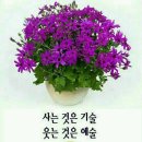작은행복