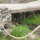 중기마을세천 이미지