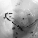 양님이네 이미지