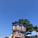 그믐달셀프스튜디오수원 이미지