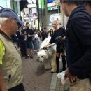 흰둥이네 이미지