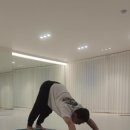 다이아몬드짐 헬스 | 일요일 지옥 루틴 : 슬라이딩 푸쉬업 다이아몬드 푸쉬업 모빌리티 킥 스루 버드독 외 10개 무조건...