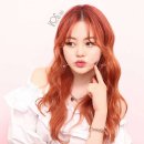 보그헤어샵 이미지