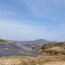 서광 태양광발전소 이미지