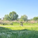 영산강대상근린공원 | 광주 [산동교친수공원,영산강대상근린공원 유아숲체험원] 아이랑 피크닉,모래놀이 장소 추천✨