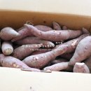 조엄농장 이미지