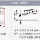 달세뇨