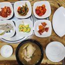 황칠&참옻 일미정 | 광주 화정동 맛집 화정동 삼계탕 맛집 화정역 한식 맛집 황칠참옻일미정 황칠삼계탕