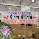 (주)씨랩 | 코스트코 수박 할인정보, 씨없는 수박에서 흑미수박까지 3회차 내돈내산 수박 비교후기