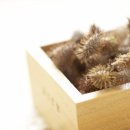 경희수세보원한의원 이미지