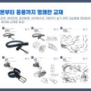 그리다시스