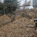 여주-1112 이미지