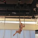 619 | 일산 폴댄스 폴린이 국화의 619회차 수업 후기 초급 리버스줄리엣