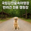 ㈜오토가이드 센터 | 국립김천숲속야영장 반려견 전용 캠핑장 완벽 가이드