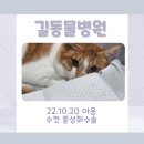 야옹동물병원 이미지