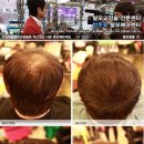 화려한머리나라 이미지