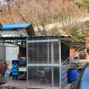 [남양시장 장날에 필수로 방문하는 옥돌정 곰탕] [화성 곰탕맛집의 쌍두마차]
