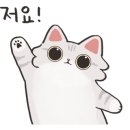 발라당냥 이미지