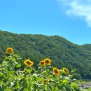 원남저수지 둘레길 | [☕충북 음성군 카페] 한적하고 여유로운 원남저수지 뷰맛집 카페 윤슬