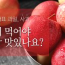 홈푸드스토리
