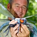 작은날개2 이미지