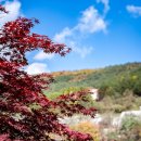 협동조합두레장터 | 하이원에서 열린 정선관광두레 DMO 로컬 감성장터 올인마켓 맹글장