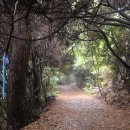 신례1리 마을회관 이미지