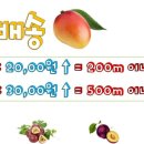 싱싱청과 이미지