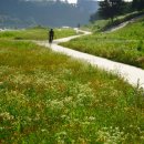 강촌강변 이미지