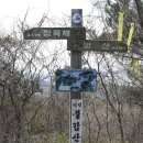 전남 신안군 임자도 대둔산(320m) (3/3) -마지막편- 이미지