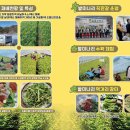 가례 괴진마을 | 경남 의령 가볼만한곳 의령가례밭미나리축제 포함 여행 코스 5곳