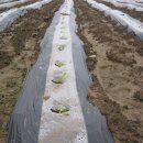 해수농장 이미지