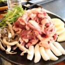 신선산오리 이미지